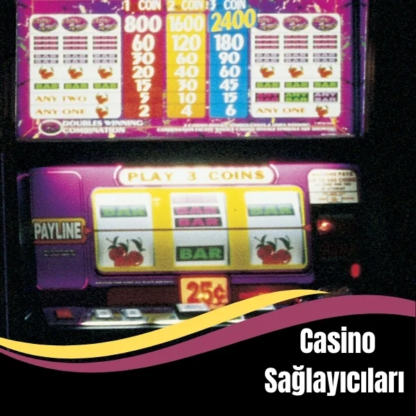Casino Sağlayıcıları